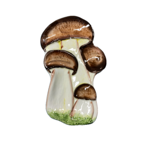 Skeholder svampe