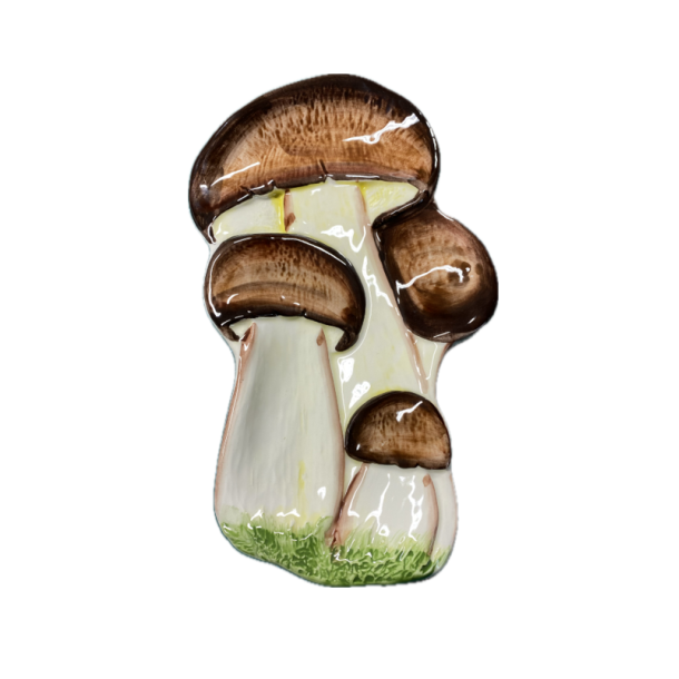 Skeholder svampe