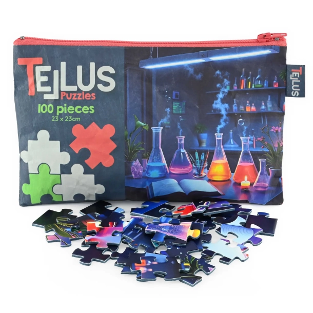 PUZZLE IN BAG SCIENCE
