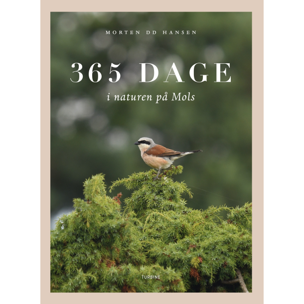 365 dage i naturen p Mols 