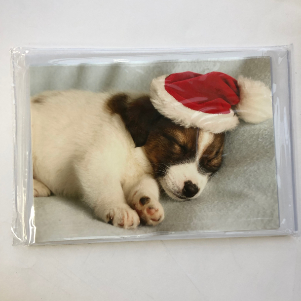 4 dobbeltkort m. kuvert - Julemotiv - Hund/kat