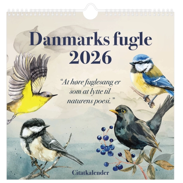 VGkalender 2026 Danmarks Fugle 