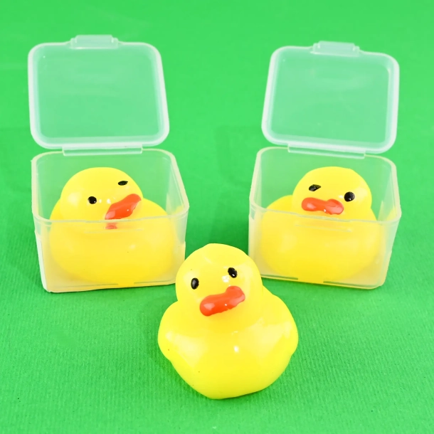 SQUEEZE DUCK IN BOX