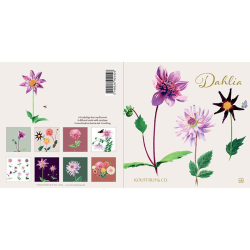 Dahlia - 8 forskellige dobbeltkort kvadratisk