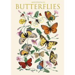 Koustrup kortmappe, BUTTERFLIES, 8 kort