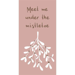 Serviet Meet me under the mistletoe 