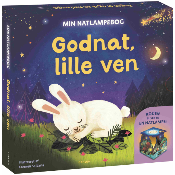 Min natlampebog - Godnat, lille ven