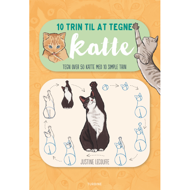 10 trin til at tegne katte 