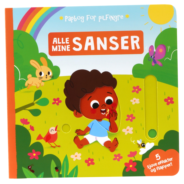 Alle mine sanser - Papbog for pilfingre