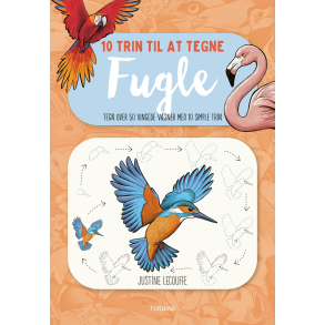 10 trin til at tegne fugle 