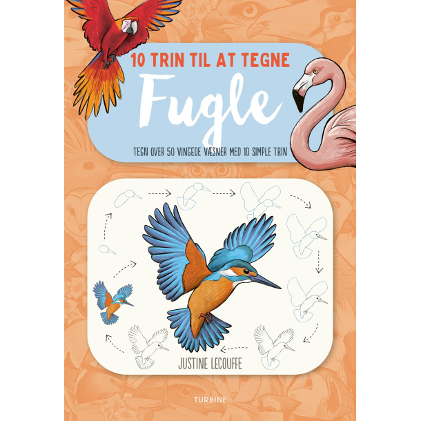 10 trin til at tegne fugle 
