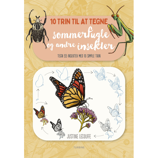 10 trin til at tegne sommerfugle og andre insekter