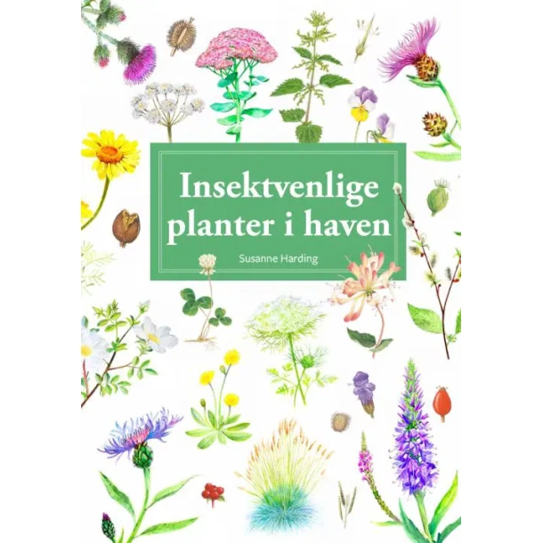 Insektvenlige planter i haven - En lommeguide