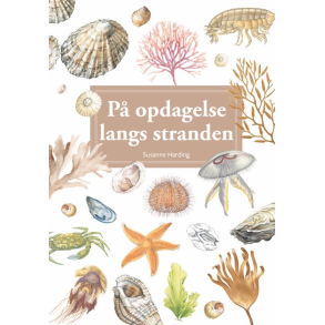 P� opdagelse langs stranden