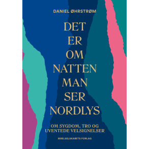 Det er om natten man ser nordlys