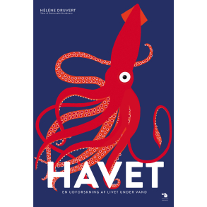 Havet - En udforskning af livet under vand 