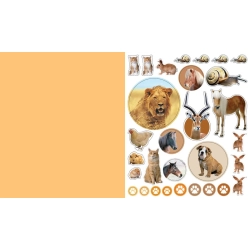 Stickersbog, genanvendelige, Animal Kingdom