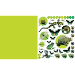 Stickersbog, genanvendelige, Animal Kingdom