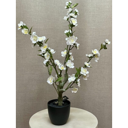 Kirseb�r tr� i potte hvid h 64cm