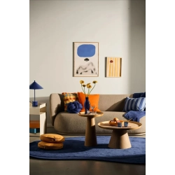 Vibrant Interiors (Engelsk)