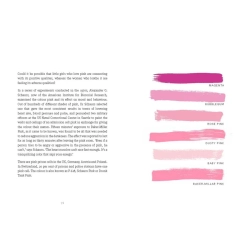 The Little Book of Colour (Engelsk)