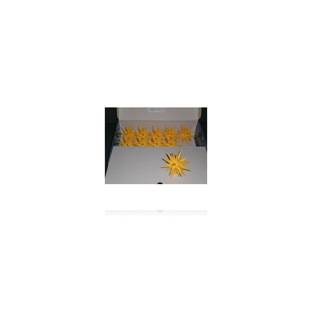 Adventsstjerne lysk�de (LED), plast, 13cm, samlet,  gul (Ude- og indend�res)