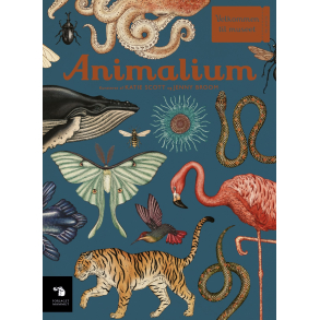 Animalium