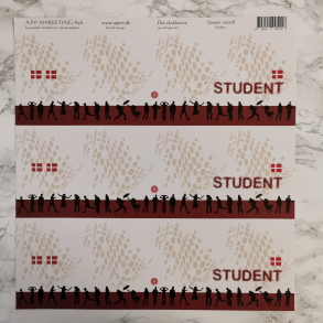 A.P.P Marketing - Scrapbooking, student