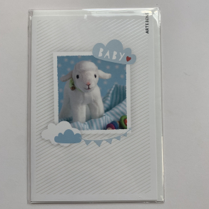 Artebene kort, Barnedb, Fr bl