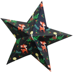 Avenue Mandarine Dobbeltsidet papir, Christmas