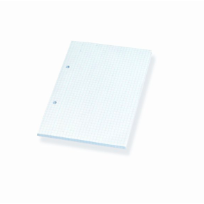 Bantex standardblok A5, kvadreret, hullet, sidelimet