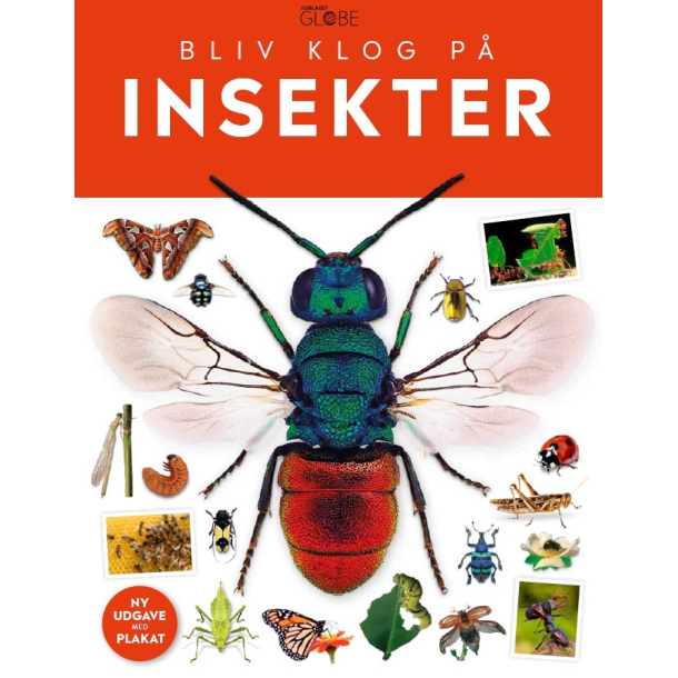 Bliv klog p - Insekter