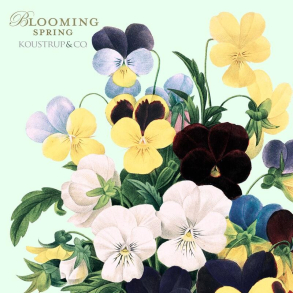 BLOOMING SPRING - 8 forskellige dobbeltkort kvadratisk