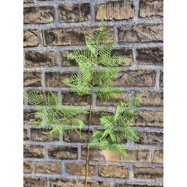 Bregne gren, lysegrn, 85cm