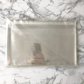 Cellofan poser, 23x12,3cm, 53 stk.