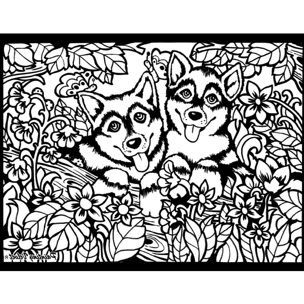 Colorvelvet, Fljlsbillede, Husky