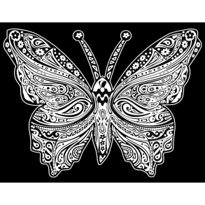 Colorvelvet, Fljlsbillede, Sommerfugl