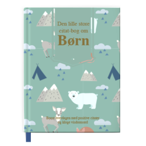Den lille store citatbog om brn