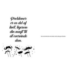 Den lille store citatbog om FAR