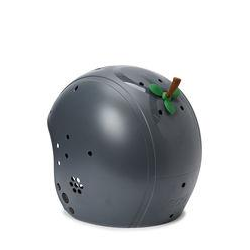 EGG add on Fruitstalk