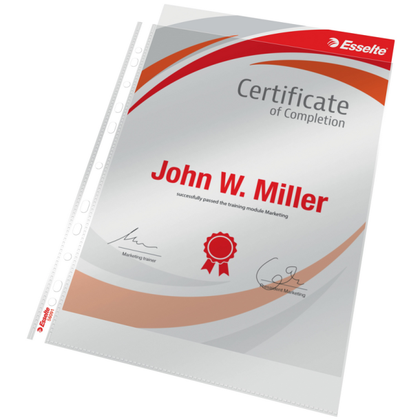 Esselte Plastommer 105my PP glasklar A4 T (10)