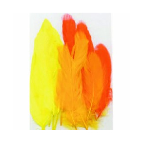 Fjer, 15 stk. gul og orange