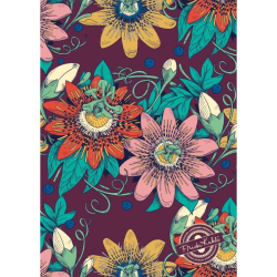 Frida Kahlo kortmappe med 