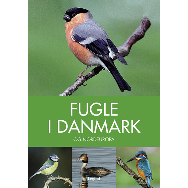 Fugle i Danmark
