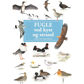 Fugle ved kyst og strand - En lommeguide