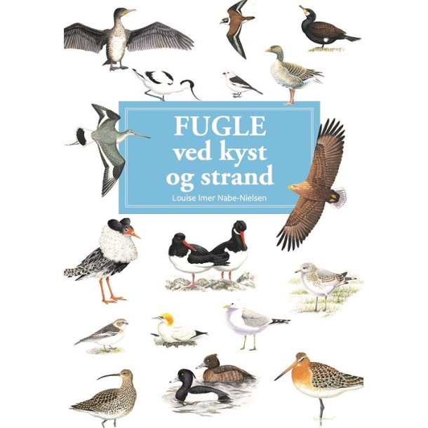 Fugle ved kyst og strand - En lommeguide