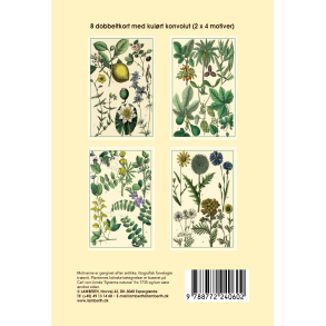 Gaveske Citron - 8 dobbeltkort m. creme kuvert