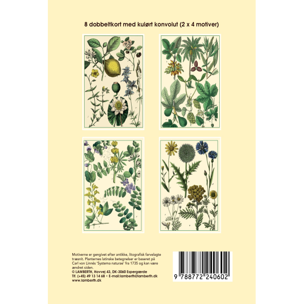 Gaveske Citron - 8 dobbeltkort m. creme kuvert