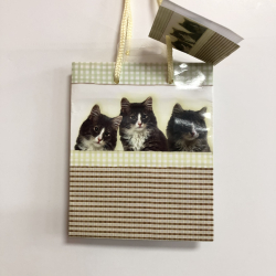 Gavepose, lille, kattemotiv