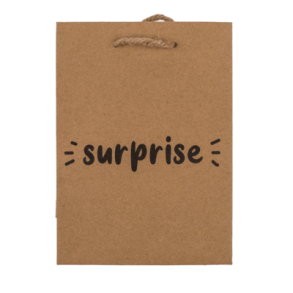 Gavepose, Surprice, lille